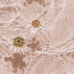 Meet your Posher, Lyn